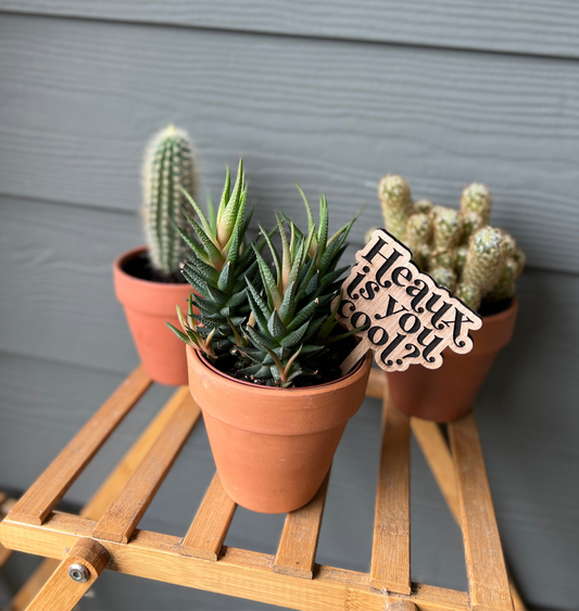 Heaux is you cool? - Plant Stake