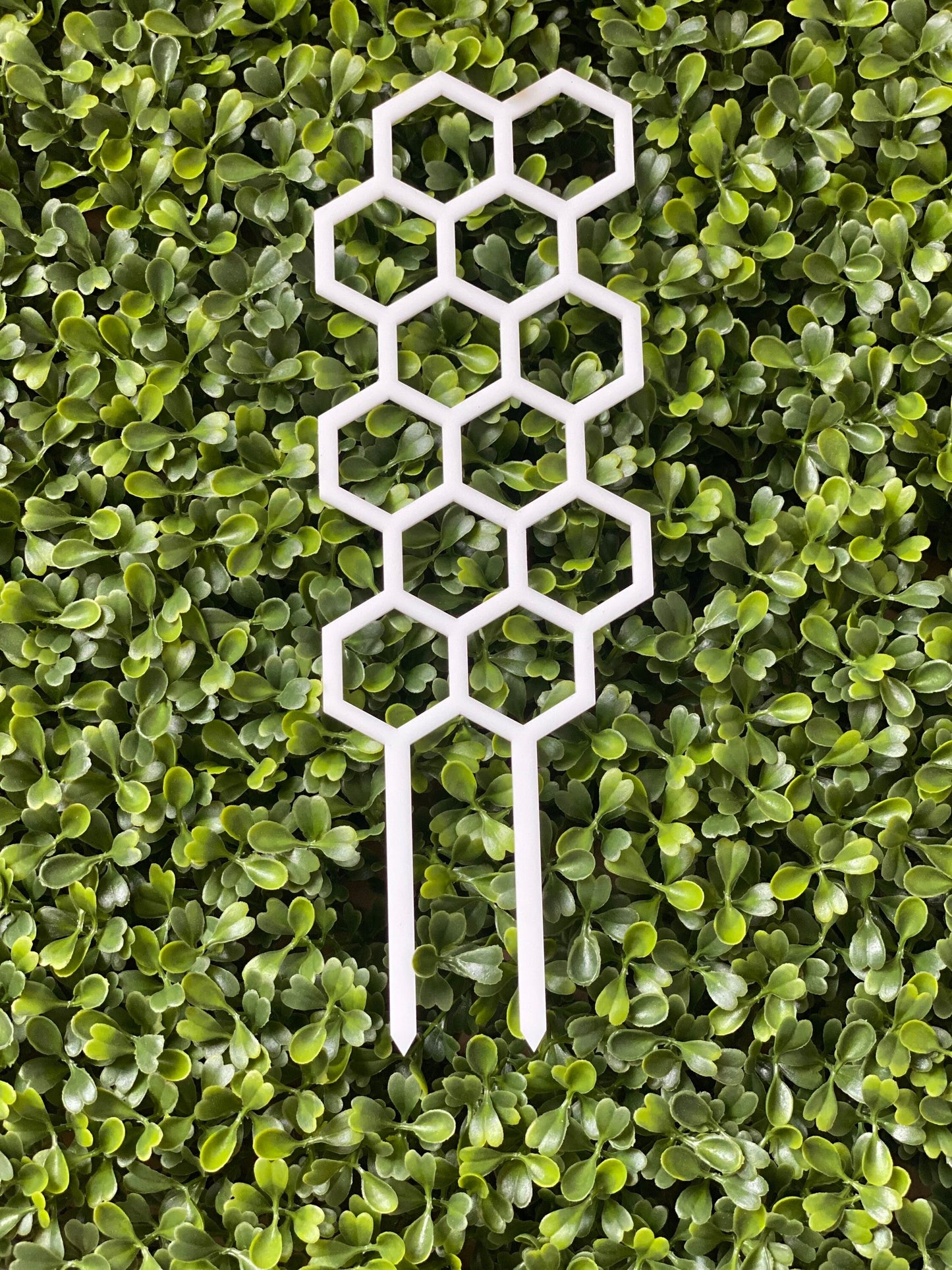 Mini Acrylic Trellises