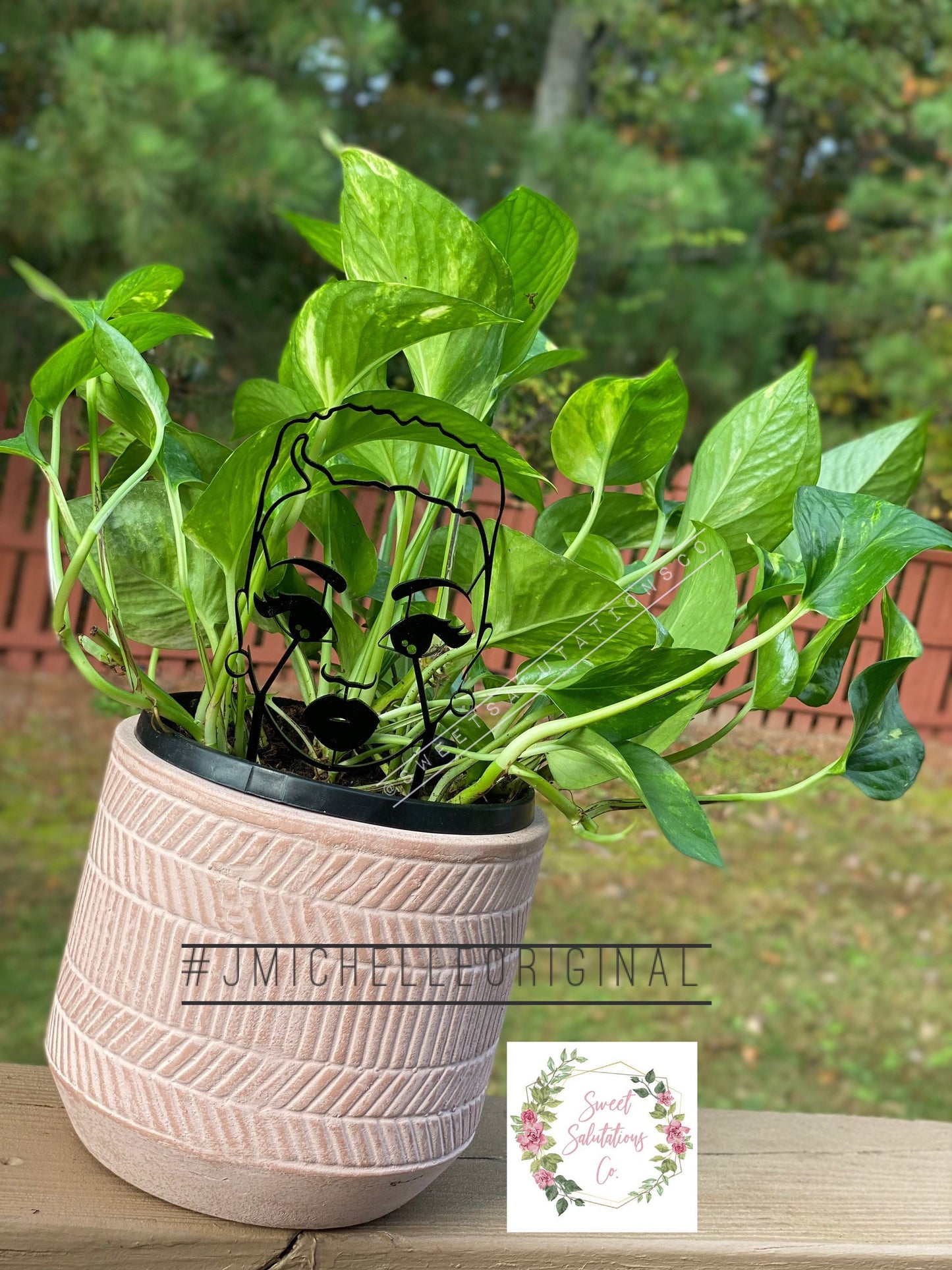 Melanin Trellis Head - Hightop Honey