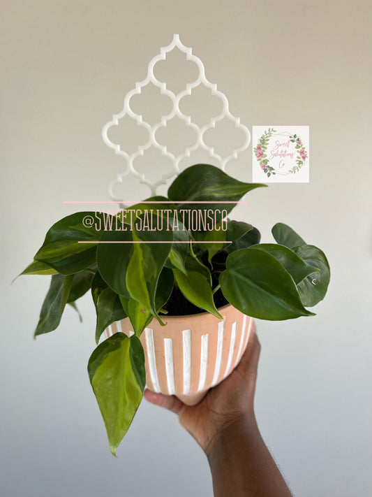 Mini Arabesque Trellises