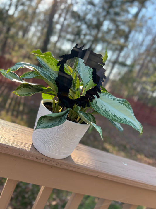 Locs Trellis - Africa on Loc Acrylic