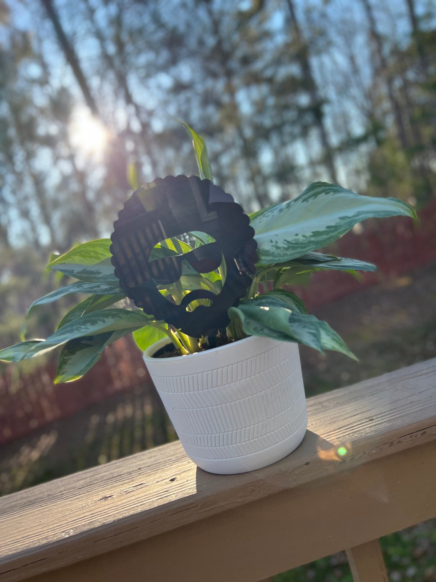 Afro Man Trellis Acrylic