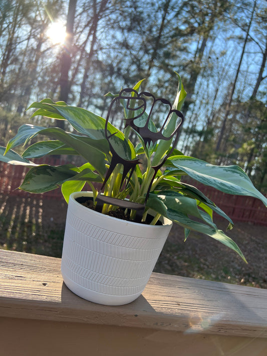 Fist Trellis Acrylic