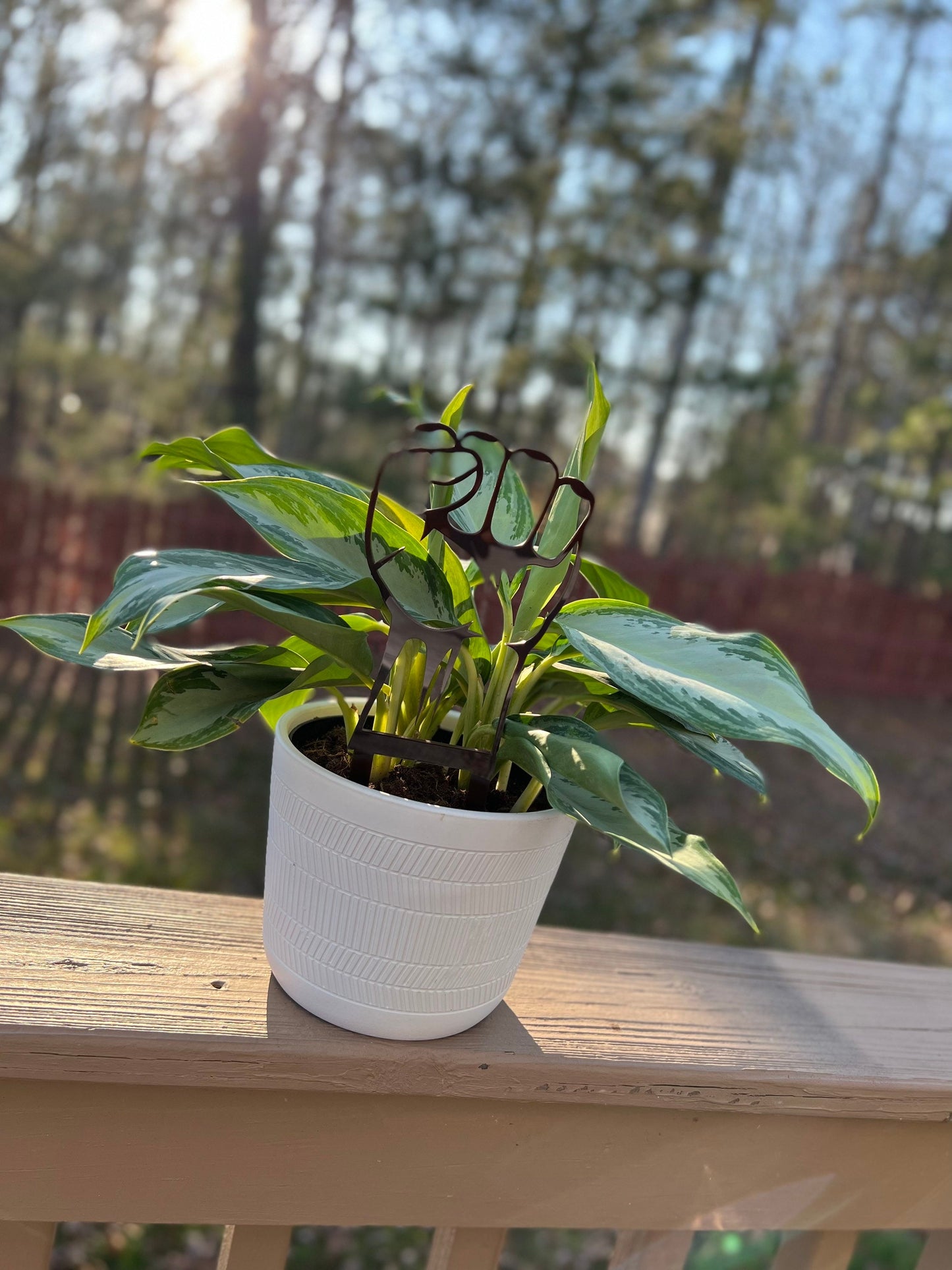 Fist Trellis Acrylic