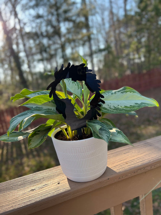 Locs Trellis - Africa on Loc Acrylic