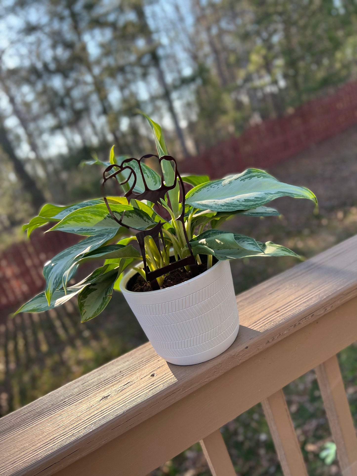 Fist Trellis Acrylic