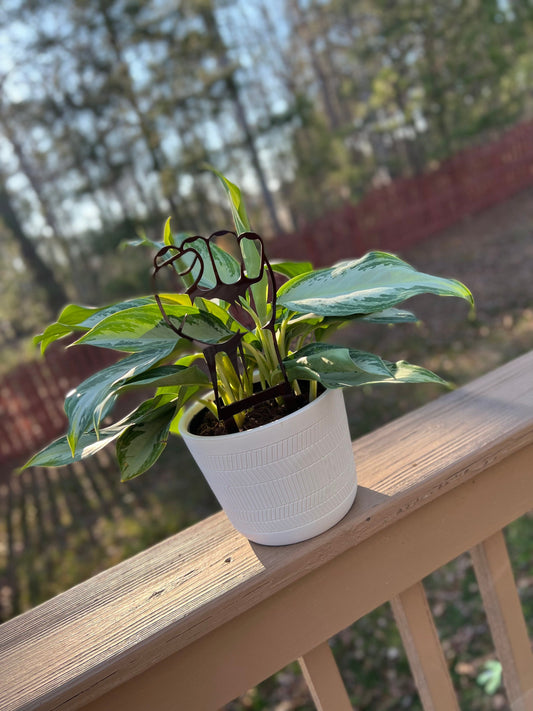 Fist Trellis Acrylic