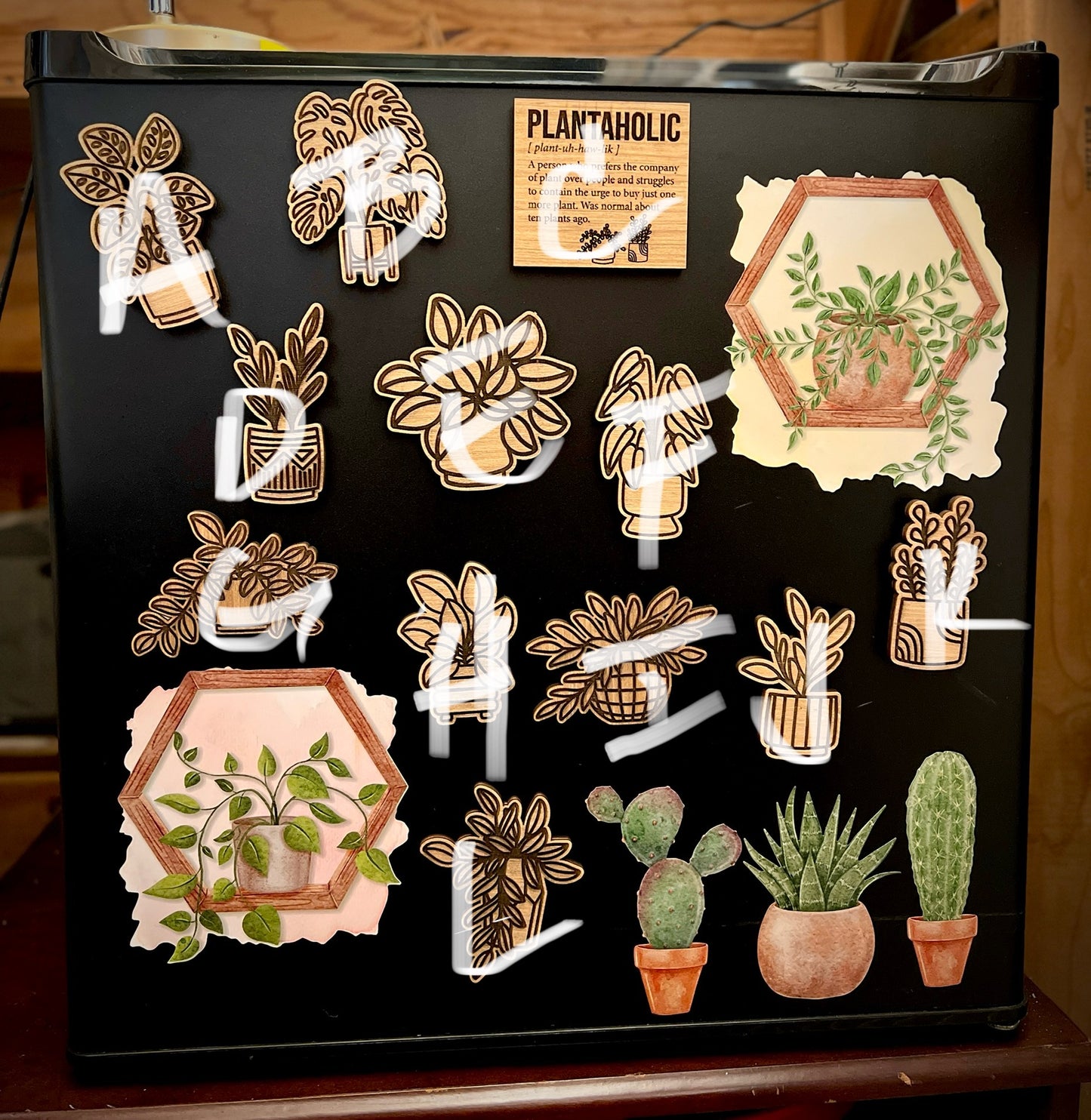 Plant Magnets